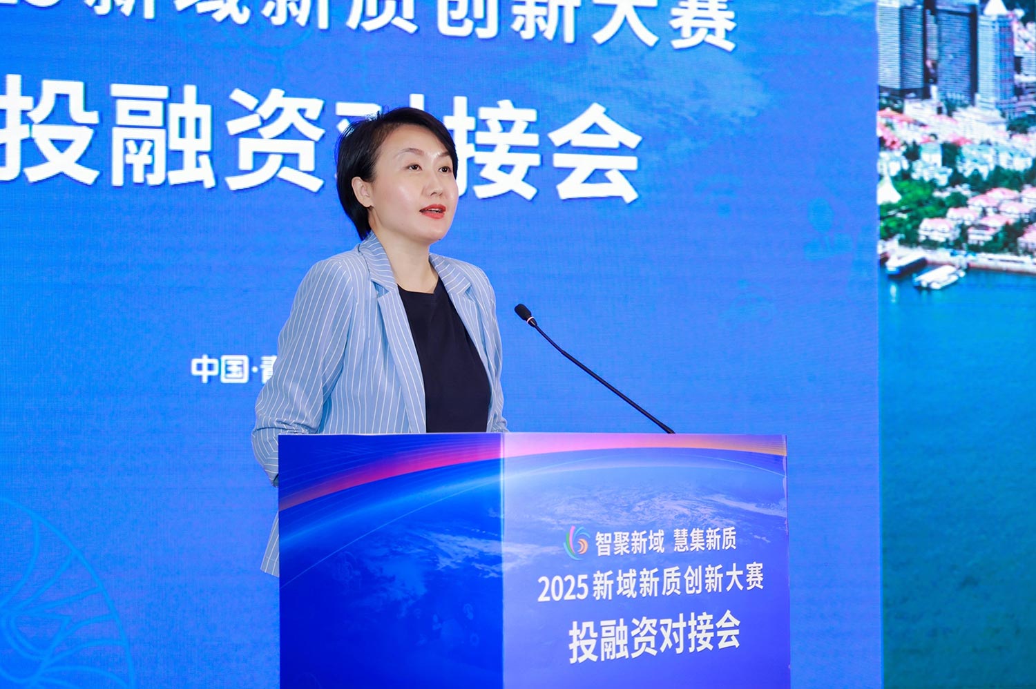 投融资嘉宾发言